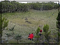 2012-02-14 17-34-10MAUNDI火山口.JPG